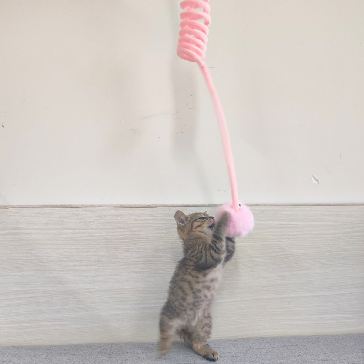 Juguete elástico con ventosa para gato muy resistente