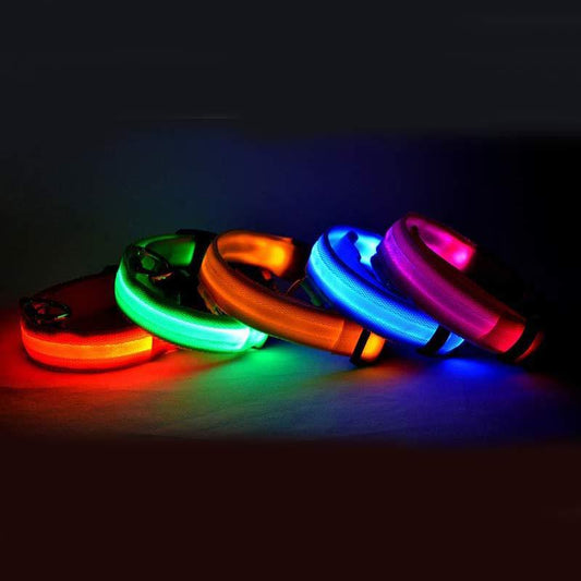 Collar luminoso led para perros, correa de seguridad nocturna