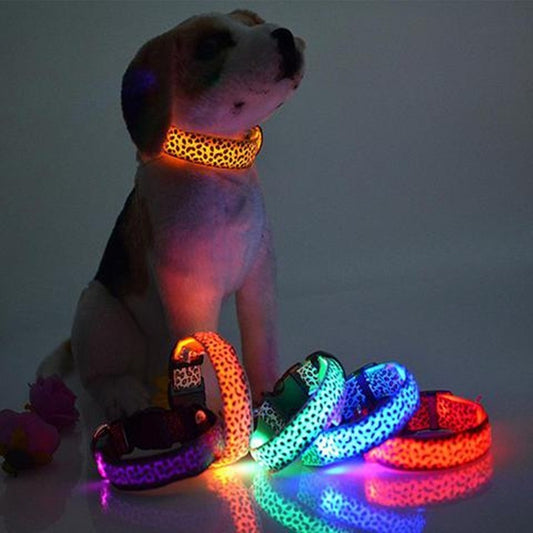 Collar led para perro