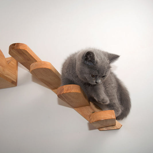 Escalera para gatos