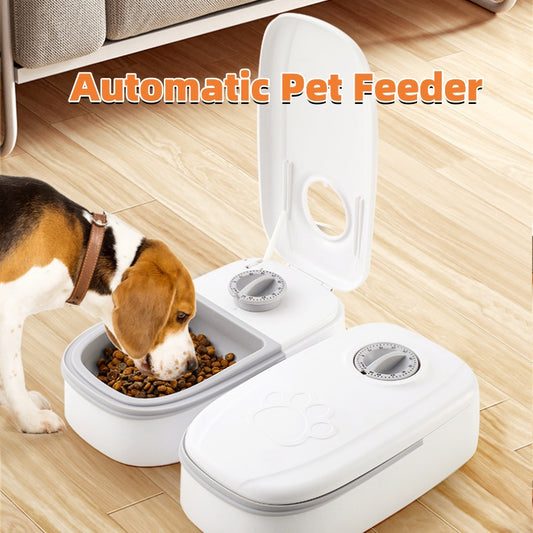 Dispensador automático con temporizador para gatos y perros, tazón de acero inoxidable